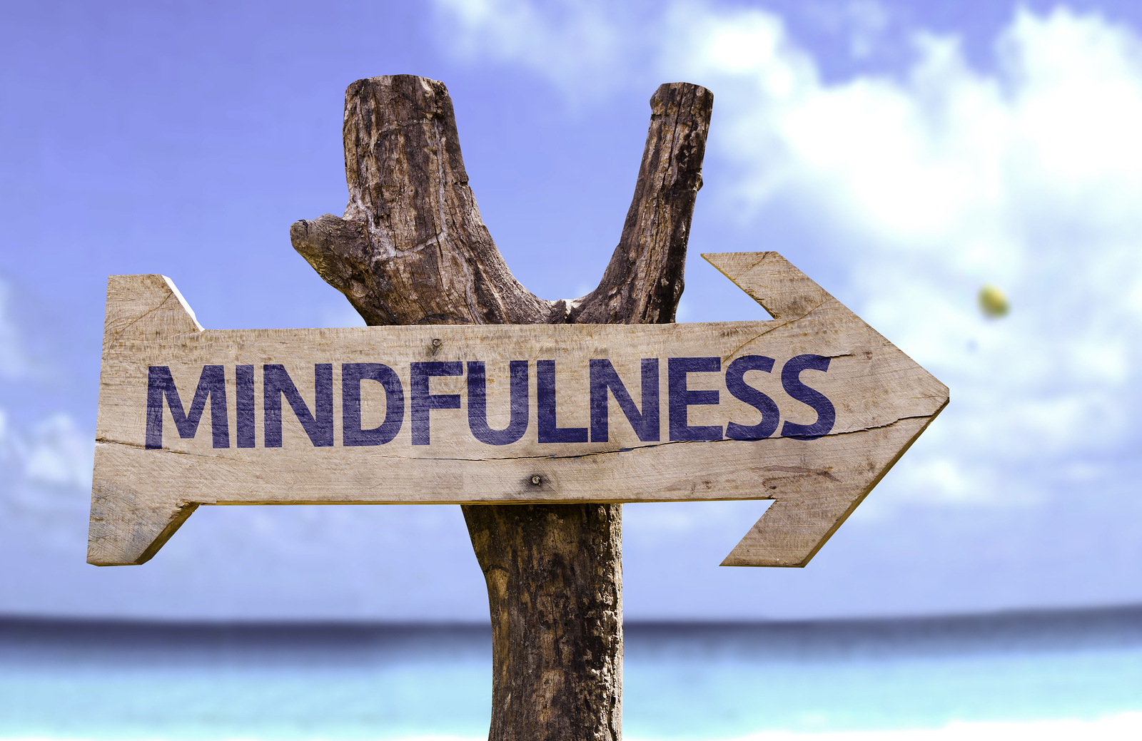 Characteristics-of-Mindfulness